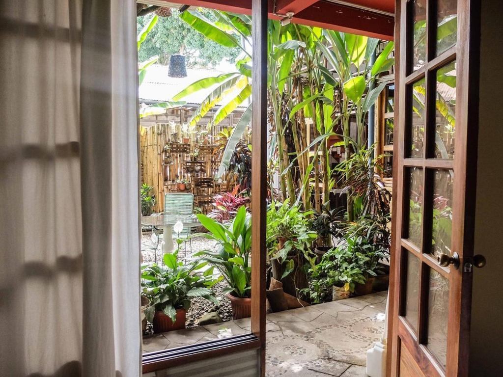 Casa De Palos Boutique Tarapoto Εξωτερικό φωτογραφία