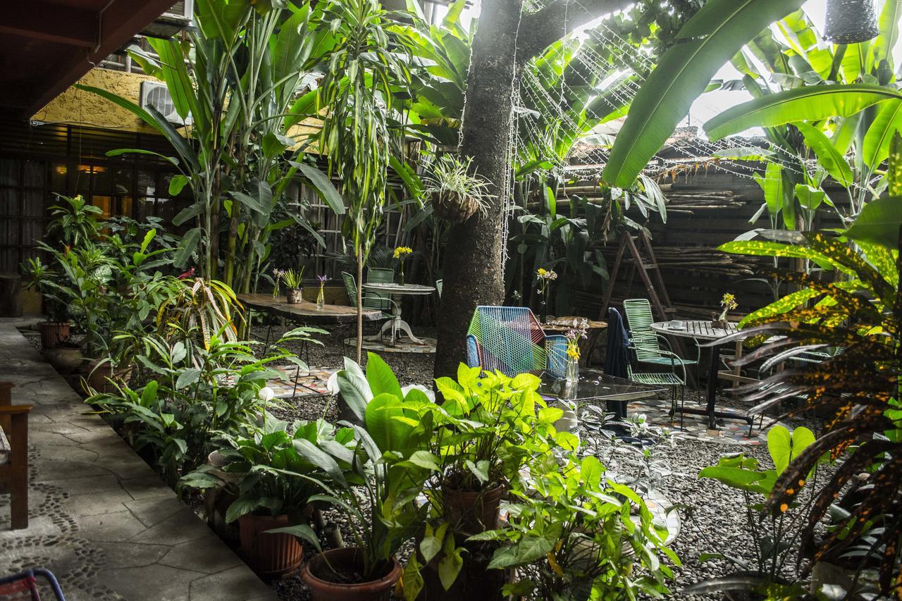 Casa De Palos Boutique Tarapoto Εξωτερικό φωτογραφία