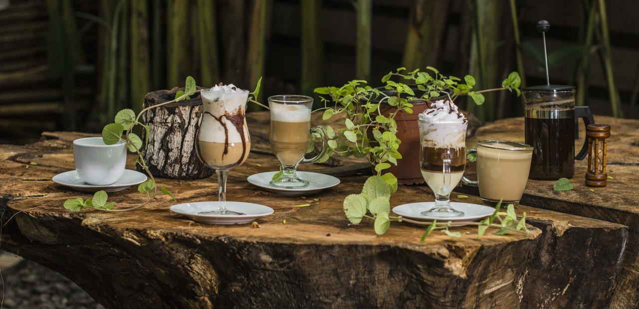 Casa De Palos Boutique Tarapoto Εξωτερικό φωτογραφία